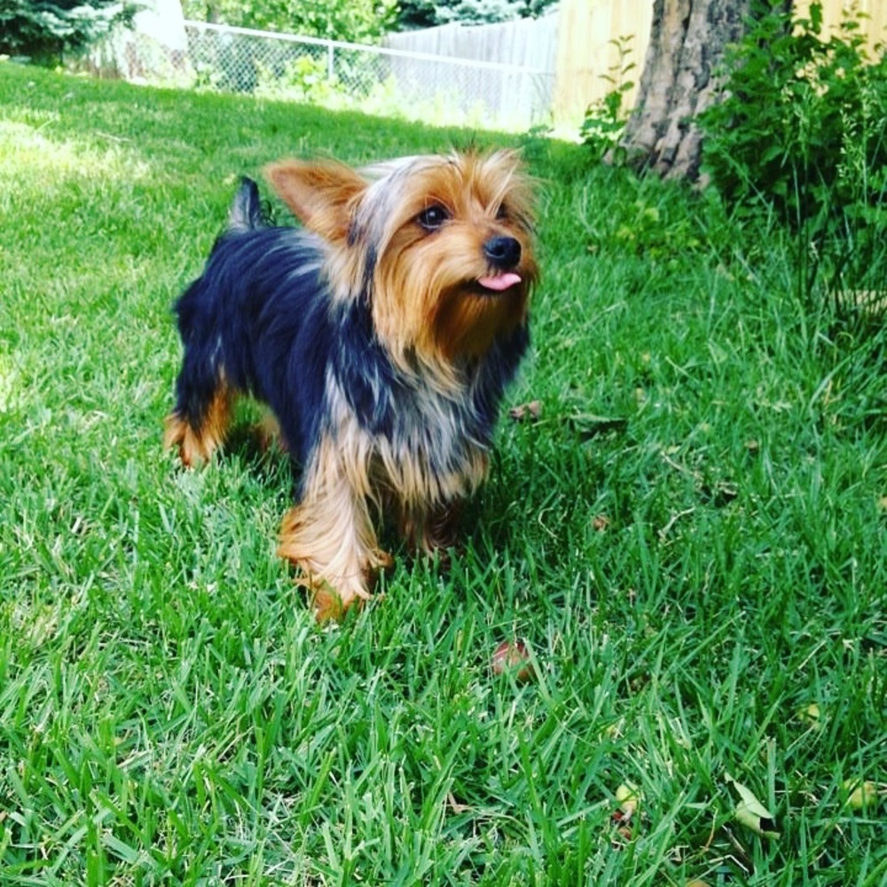 Meet your Posher, Diana